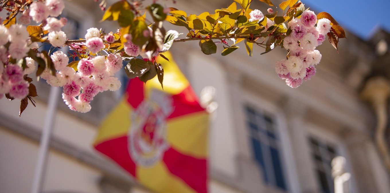 5 passos para ser FELIZ em Viseu